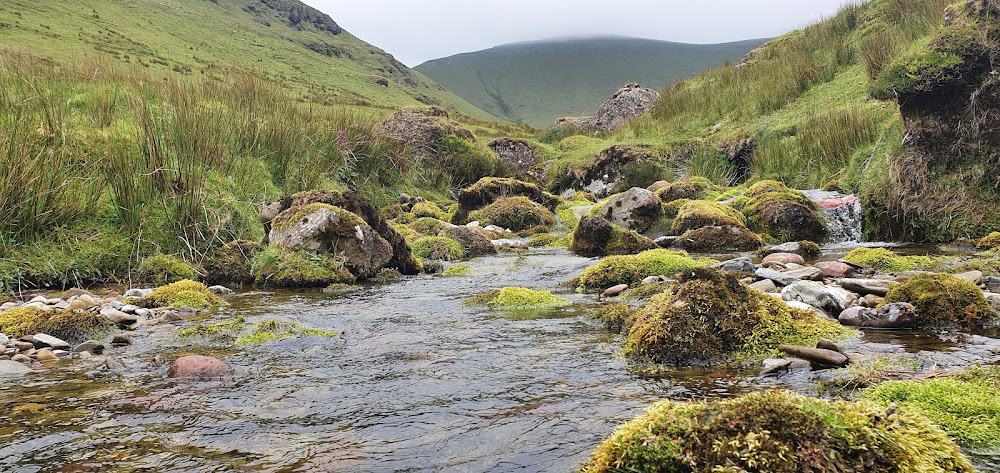 Dairygold Co-Op Superstores