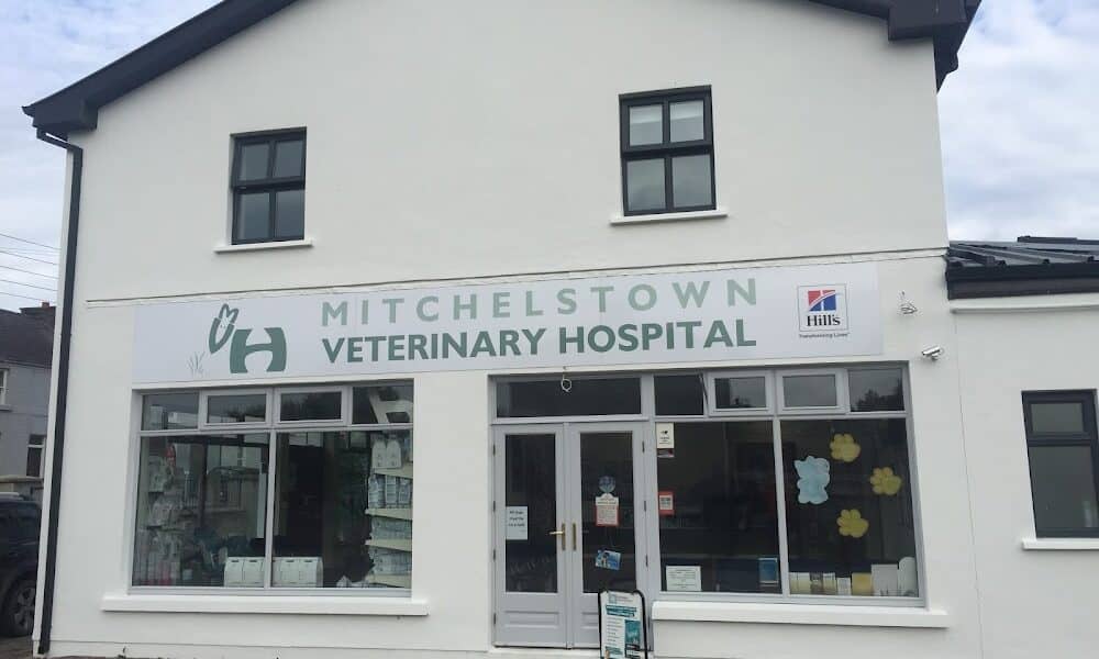 Mitchelstown Veterinary Clinic